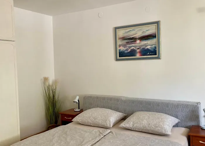 Tanja * אופטיה