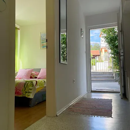 Tanja * אופטיה