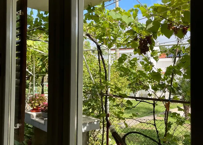 Appartamento Tanja *